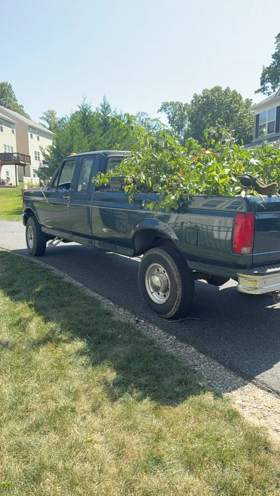 Expert landscape installation in Bel Air, MD by Hommel’s Lawn Care