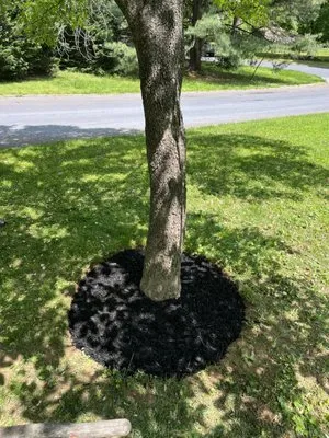 Hommel’s Lawn Care