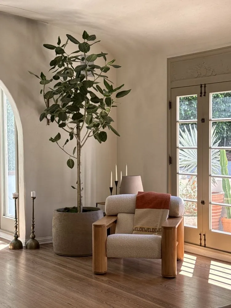 Professional yard maintenance for beautiful yards across West Hollywood, CA - Hommes and Gardens