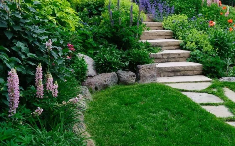 Expert yard cleanup service in Susanville, CA - Homme's Landscape