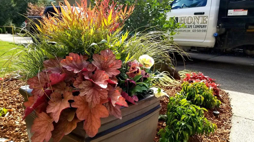 Trusted landscaping services for outdoor upgrades in Carnation, WA by Hone Landscape Company
