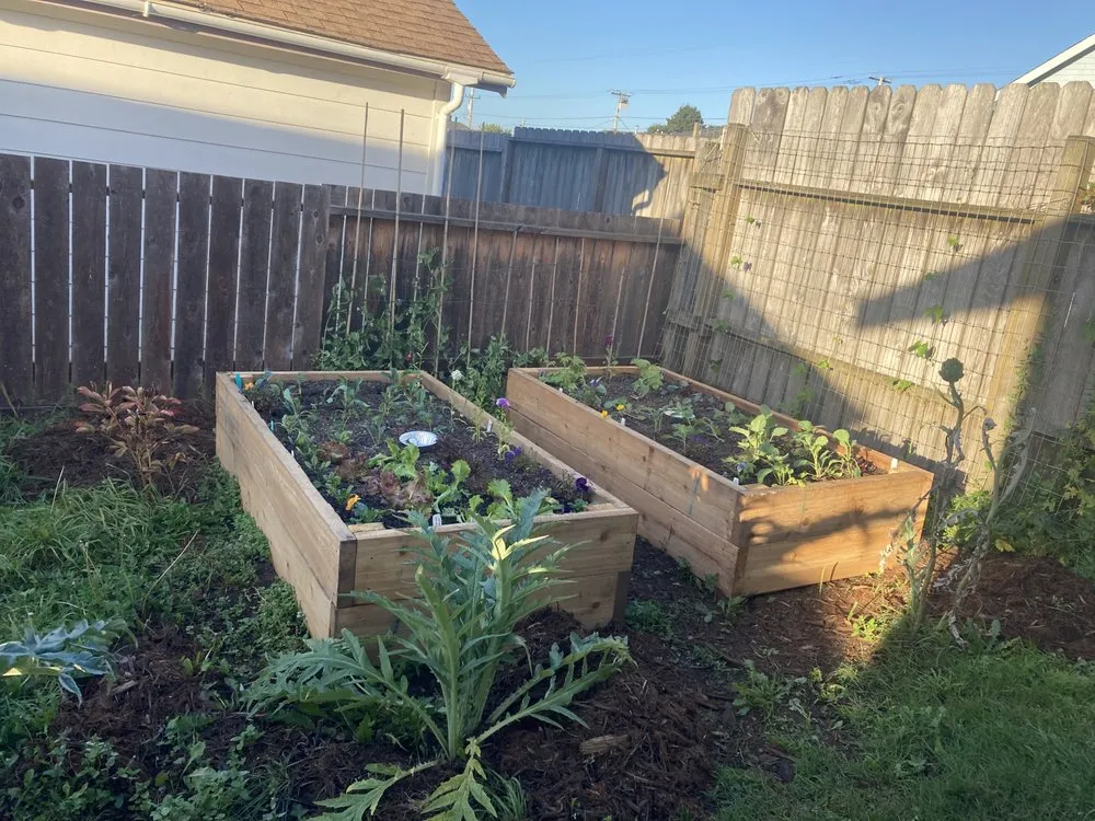 Professional yard cleanup service near you in Eureka, CA by Honest Handyman