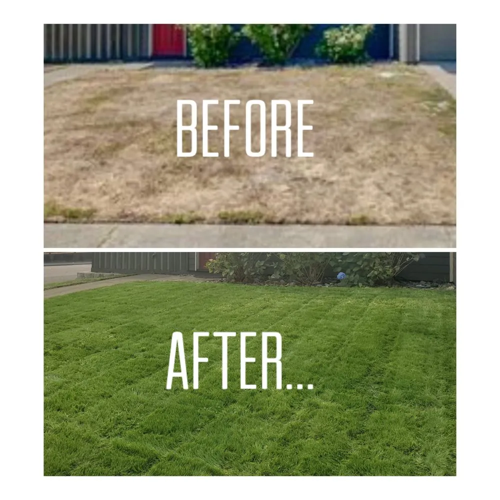 Affordable landscaping services in Eureka, CA by Honest Handyman