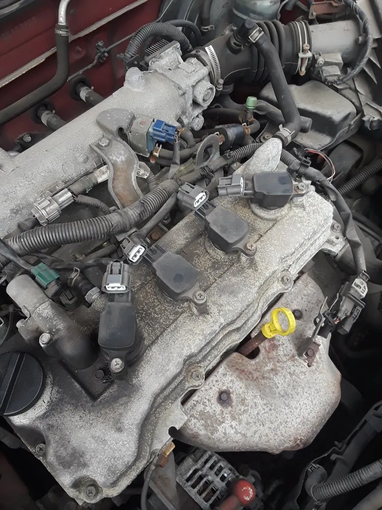 Affordable landscape design in Folsom, PA - Honest Landscaping and Handyman Services