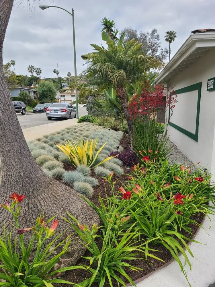 Affordable yard cleanup service experts serving Liberty Hill, TX - Honest Landscaping