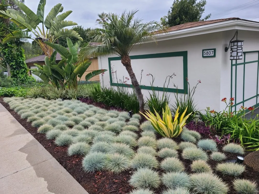 Reliable residential landscaping near you in Liberty Hill, TX by Honest Landscaping