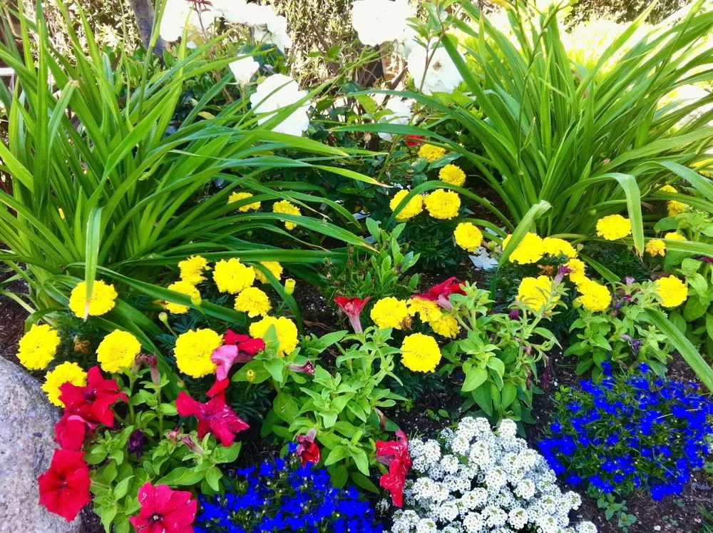 Reliable landscape installation in Liberty Hill, TX by Honest Landscaping