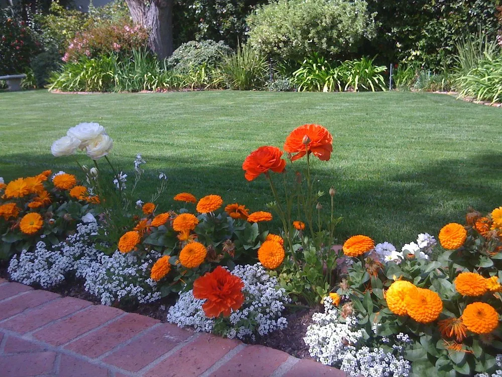 Affordable yard maintenance in Liberty Hill, TX - Honest Landscaping