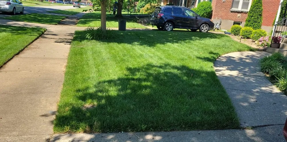 Reliable yard cleanup service in Louisville, KY - Honest Landscaping