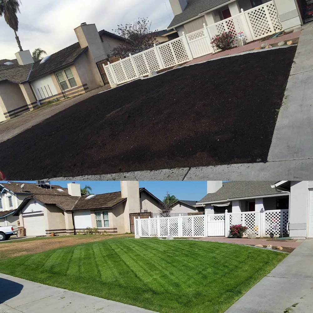 Professional outdoor landscaping in Bakersfield, CA by Honest Lawn Care