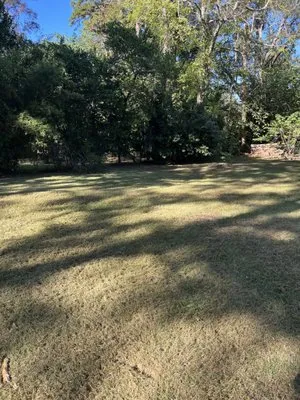 Honest Living Cuts Lawn Care and Landscape Logo