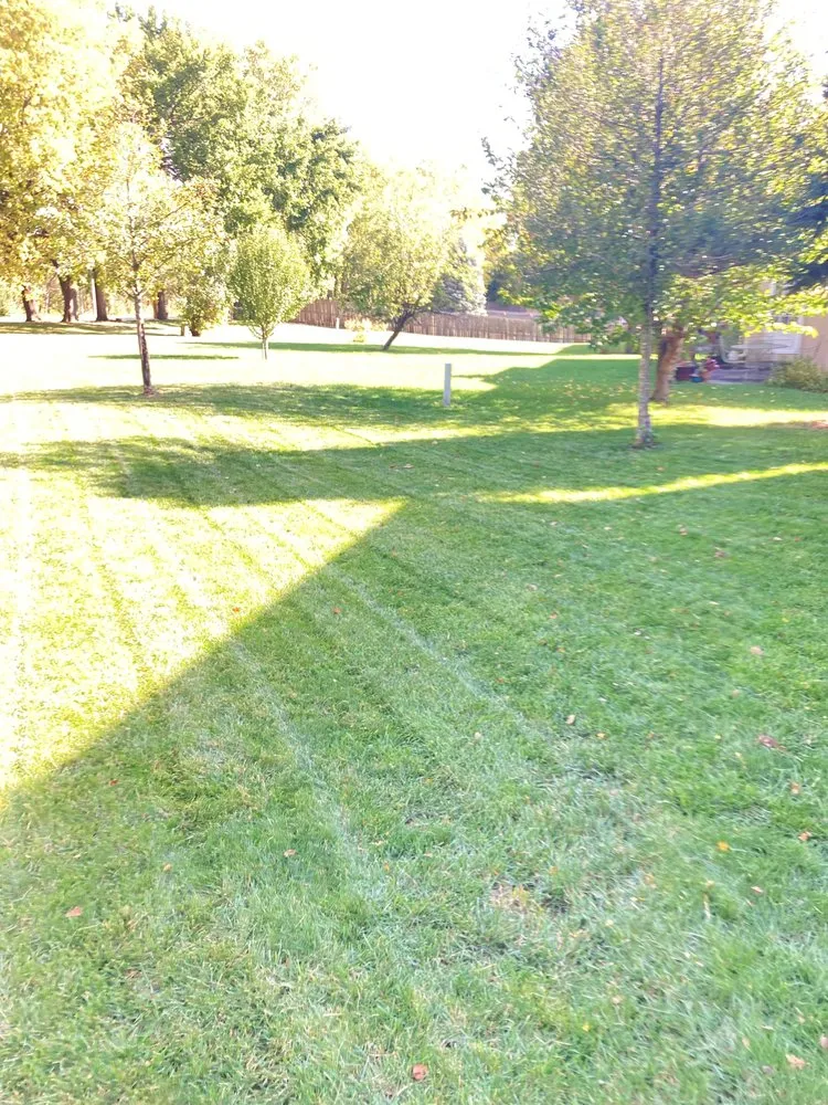 Professional landscaping services in Kansas City, MO - Honest Timmys Lawn Care & Handyman Services