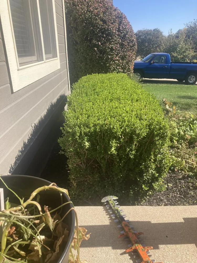 Professional landscaping services in Kansas City, MO by Honest Timmys Lawn Care & Handyman Services