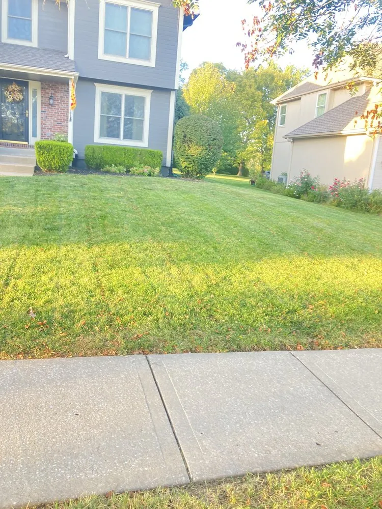 Custom yard maintenance in Kansas City, MO - Honest Timmys Lawn Care & Handyman Services