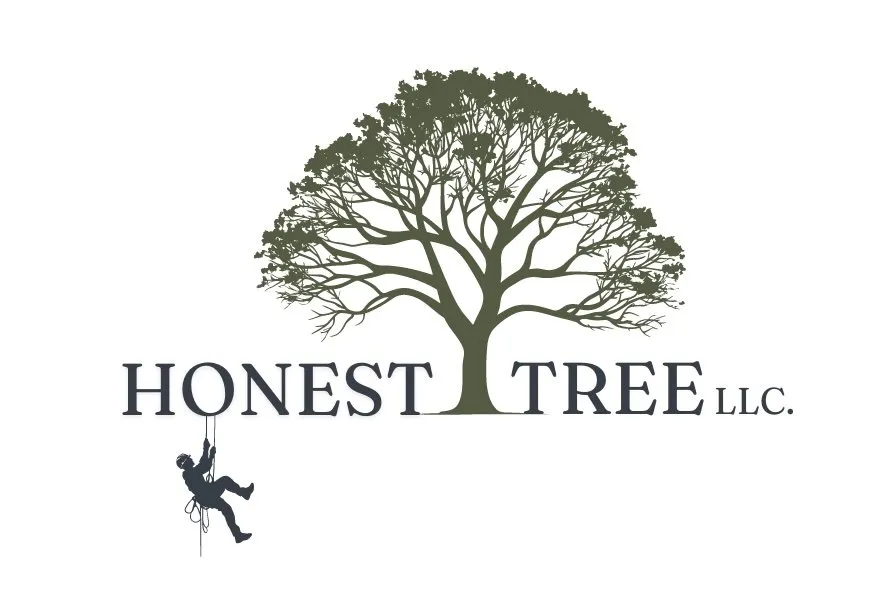 Top-rated landscaping services for outdoor upgrades across Jacksonville, OR - Honest Tree