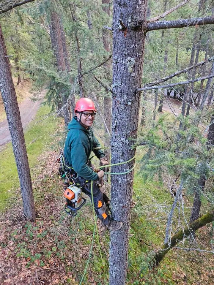 Top-rated lawn care service for homes in Jacksonville, OR by Honest Tree