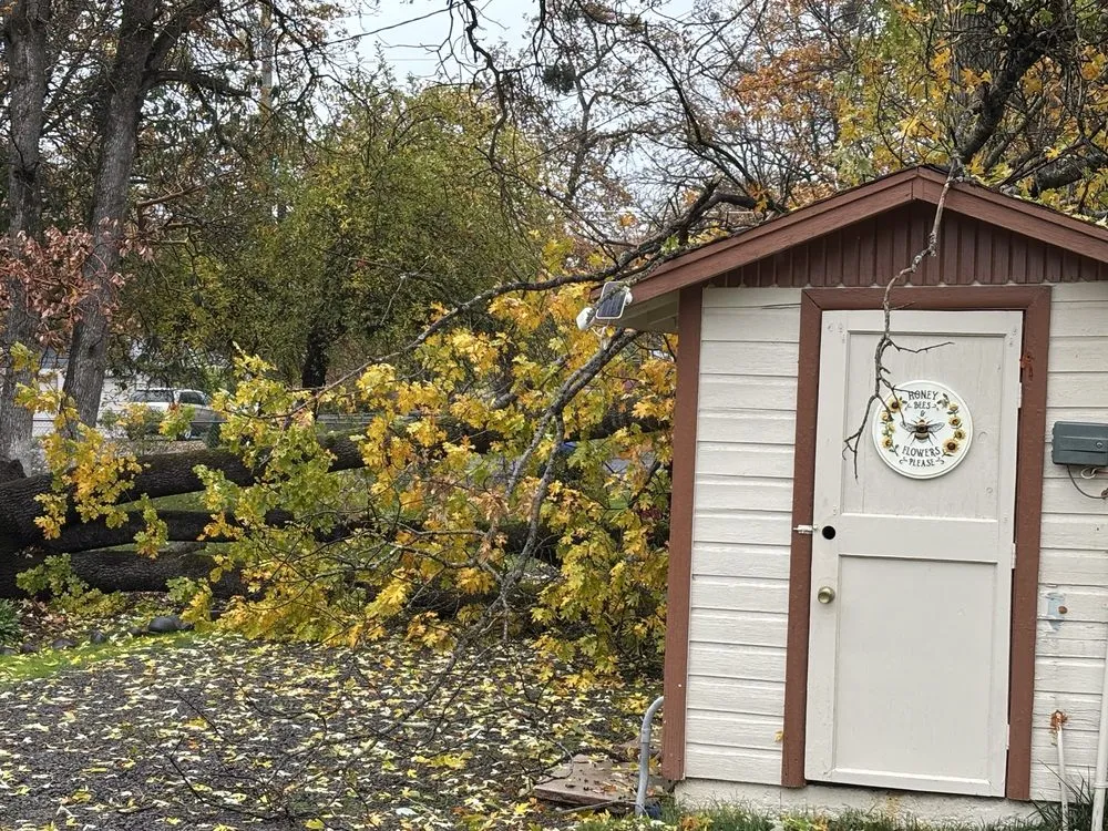 Reliable residential landscaping with custom design in Jacksonville, OR by Honest Tree