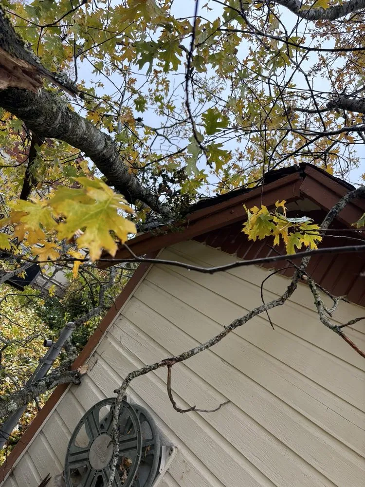 Reliable garden landscaping experts serving Jacksonville, OR - Honest Tree