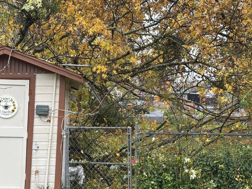 Reliable outdoor landscaping in Jacksonville, OR - Honest Tree