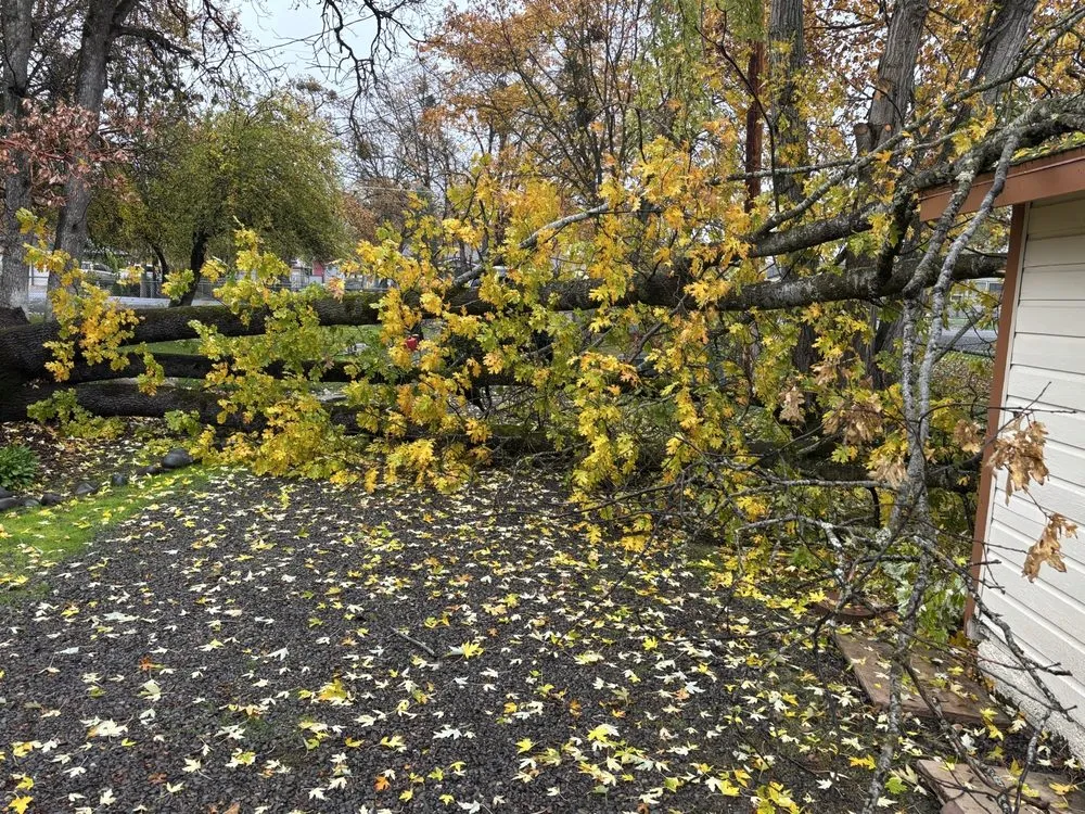 Professional outdoor landscaping for outdoor upgrades across Jacksonville, OR - Honest Tree