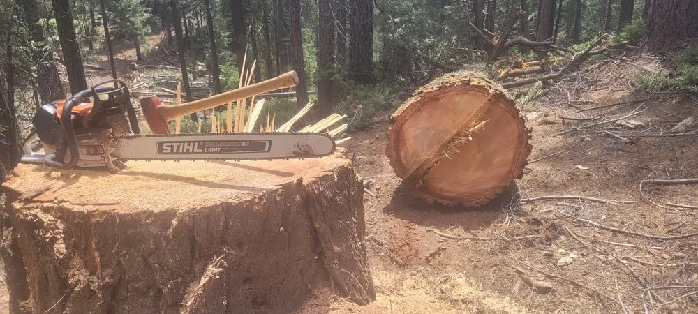 Top-rated yard cleanup service for year-round maintenance across Jacksonville, OR - Honest Tree