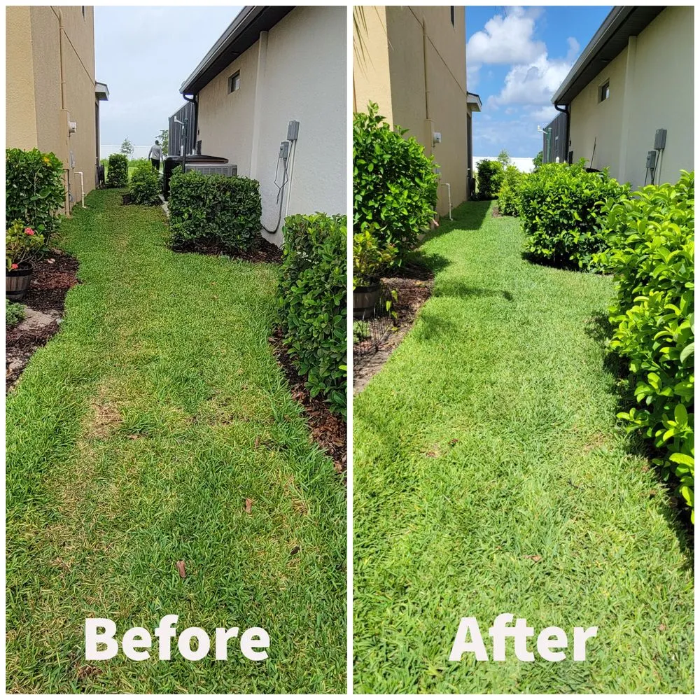 Professional lawn mowing service in North Fort Myers, FL by Honesty Green Lawncare