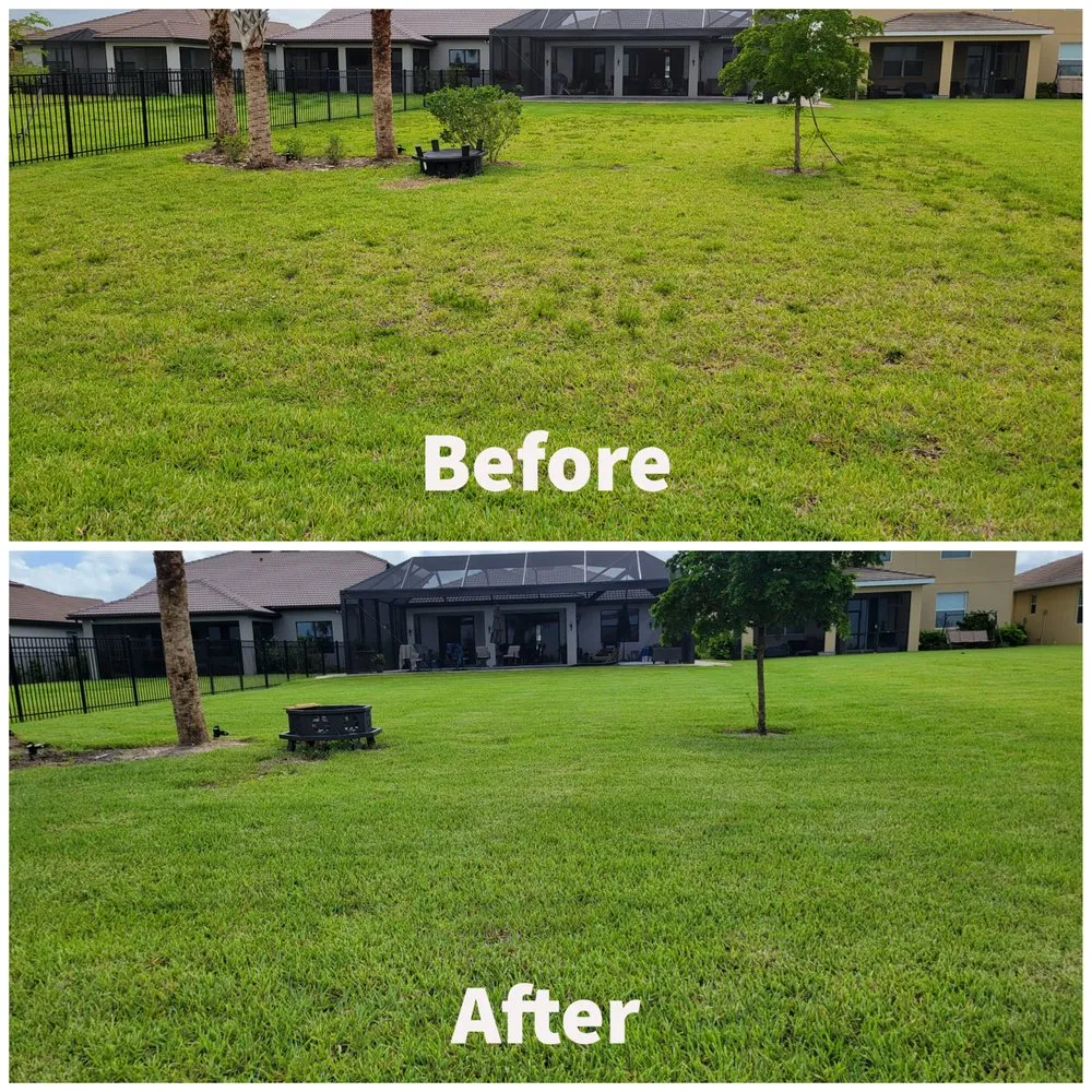 Professional garden landscaping in North Fort Myers, FL - Honesty Green Lawncare