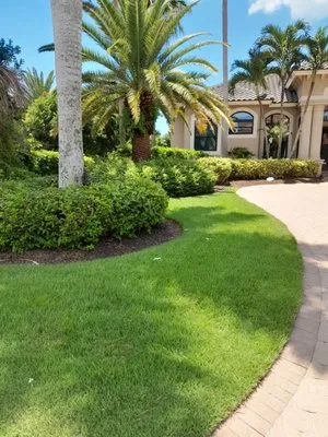 Honesty Green Lawncare Logo