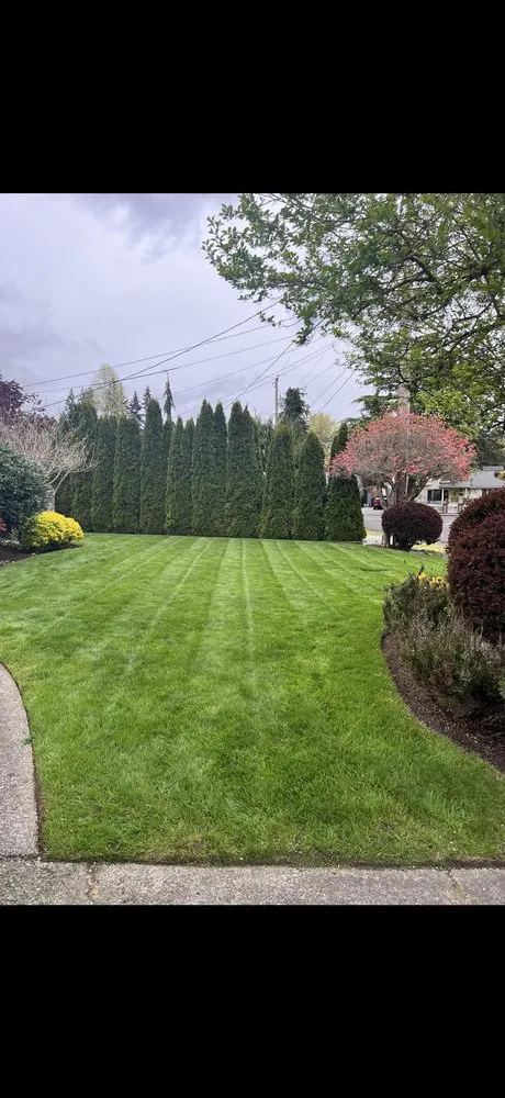 Affordable landscape design in Bothell wa, WA - Honesty Ladscaping