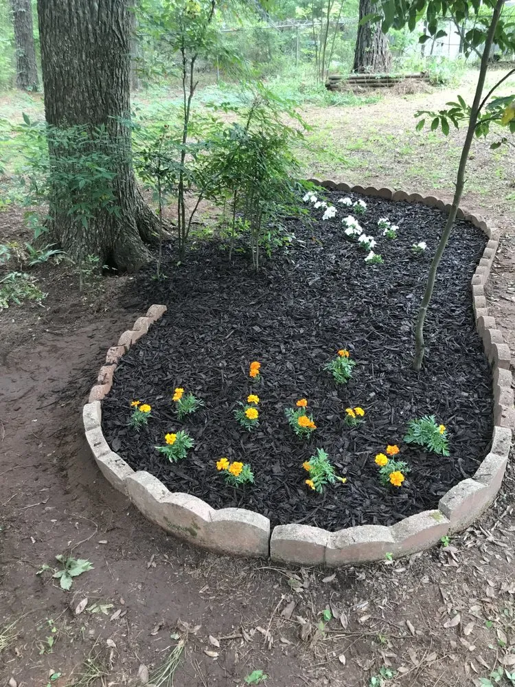 Professional yard maintenance in Nacogdoches, TX - Honey Badger Landscaping