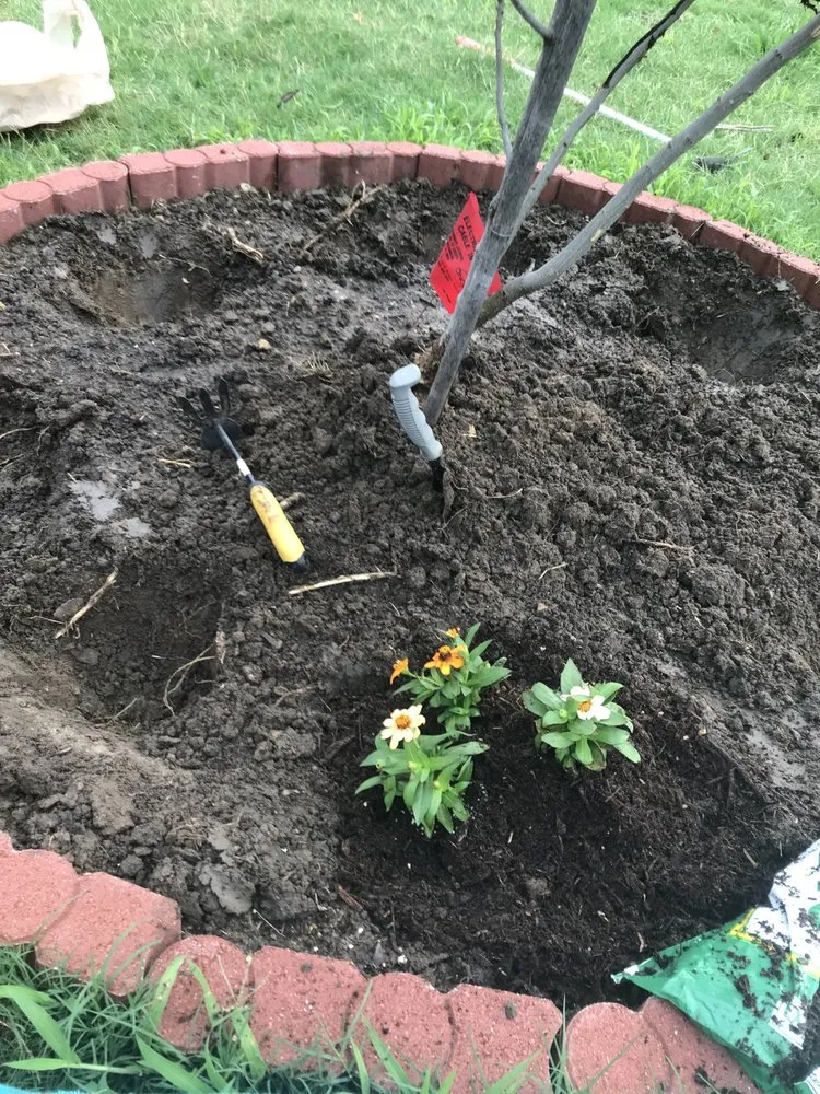 Reliable landscape design experts serving Nacogdoches, TX - Honey Badger Landscaping