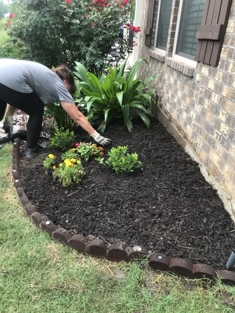 Local garden landscaping experts serving Nacogdoches, TX - Honey Badger Landscaping