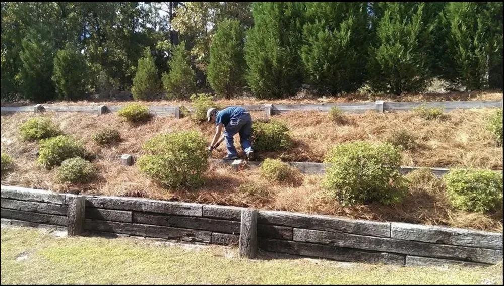 Top-rated garden landscaping experts serving West Columbia, SC - Honey Badger Lawn Care & Landscaping