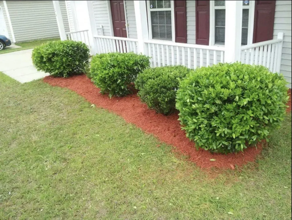 Affordable residential landscaping in West Columbia, SC - Honey Badger Lawn Care & Landscaping