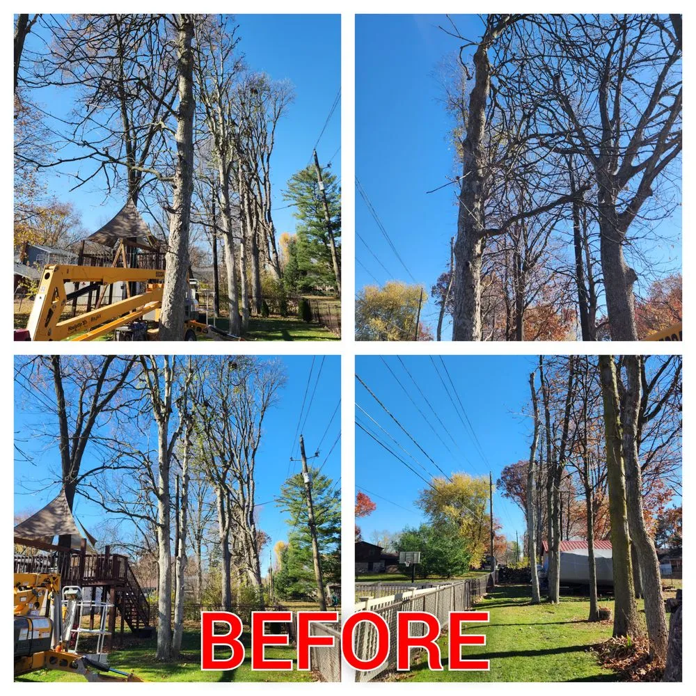 Local residential landscaping experts serving Cloverdale, IN - Honey Bear Tree Care