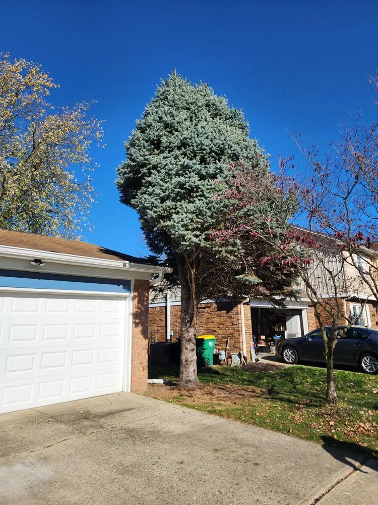 Local outdoor landscaping for year-round maintenance in Cloverdale, IN by Honey Bear Tree Care