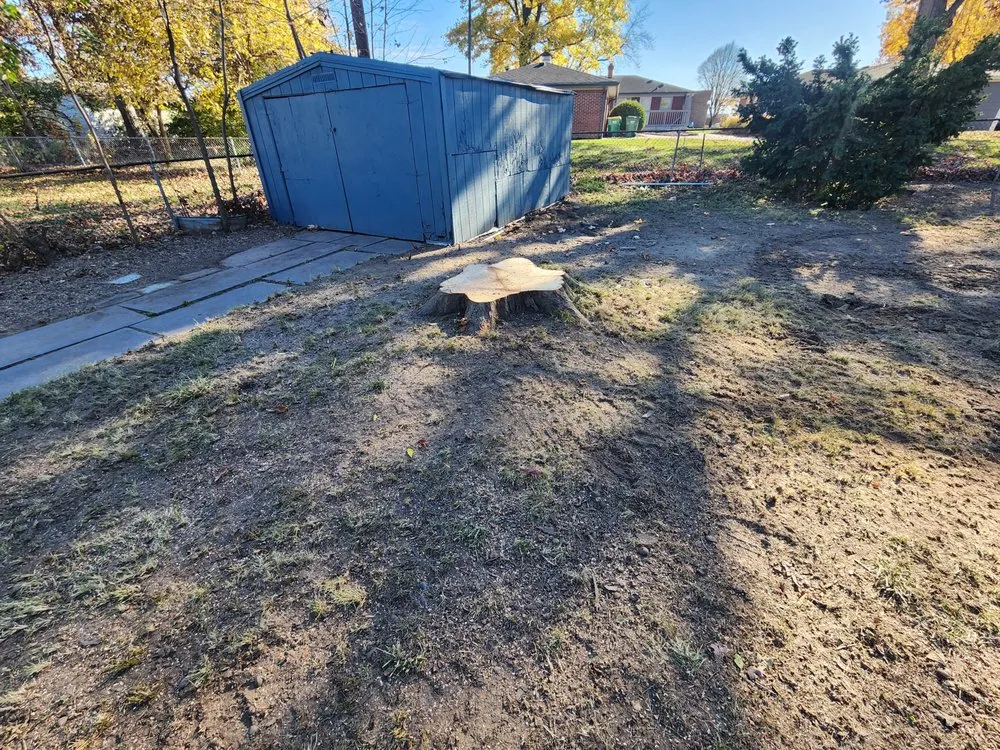 Local garden landscaping experts serving Cloverdale, IN - Honey Bear Tree Care