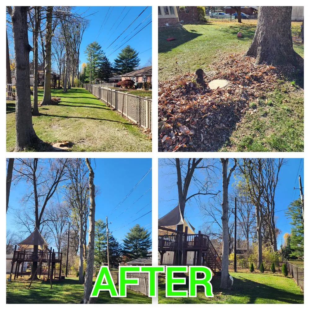 Reliable residential landscaping in Cloverdale, IN - Honey Bear Tree Care