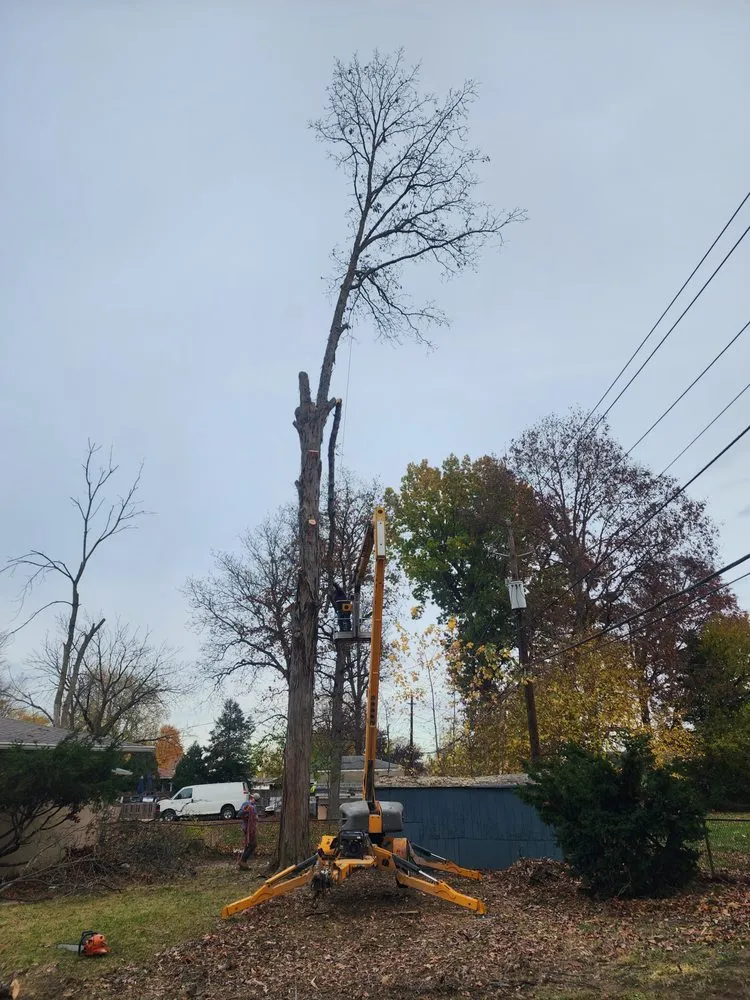 Local garden landscaping in Cloverdale, IN - Honey Bear Tree Care