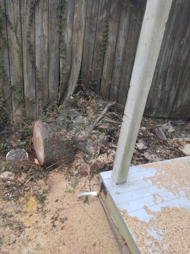 Local landscaping services in Metairie, LA - Honey Bear Tree Service And Lawn Care