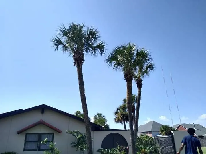 Trusted lawn mowing service experts serving Metairie, LA - Honey Bear Tree Service And Lawn Care