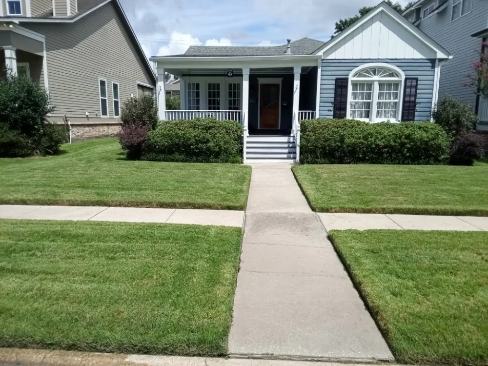 Expert lawn mowing service experts serving Metairie, LA - Honey Bear Tree Service And Lawn Care