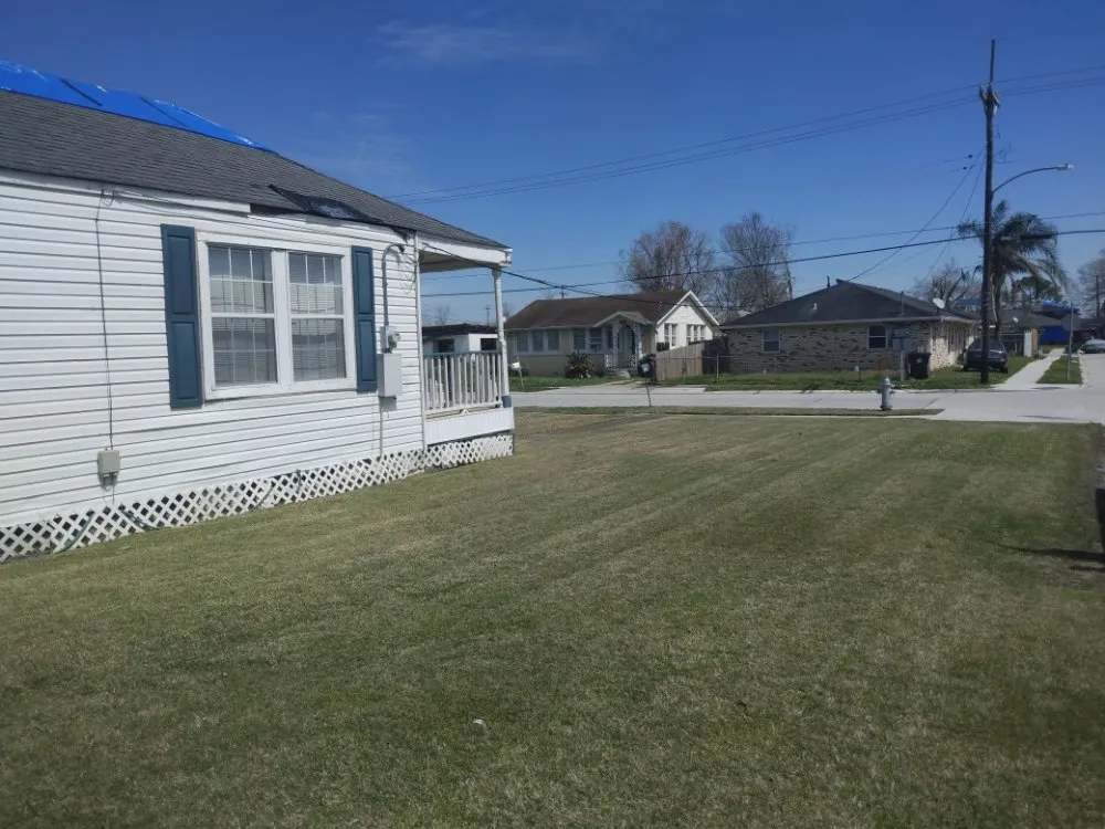 Professional yard cleanup service in Metairie, LA - Honey Bear Tree Service And Lawn Care