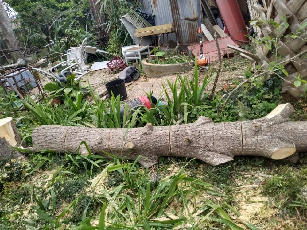 Custom landscape installation in Metairie, LA - Honey Bear Tree Service And Lawn Care