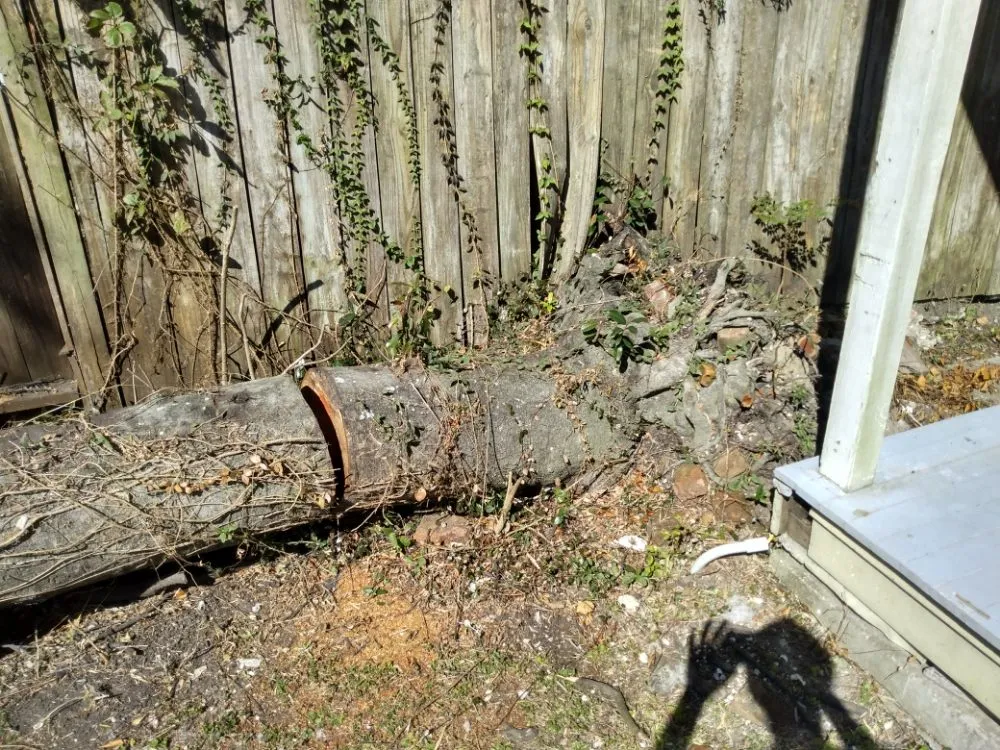 Affordable garden landscaping experts serving Metairie, LA - Honey Bear Tree Service And Lawn Care