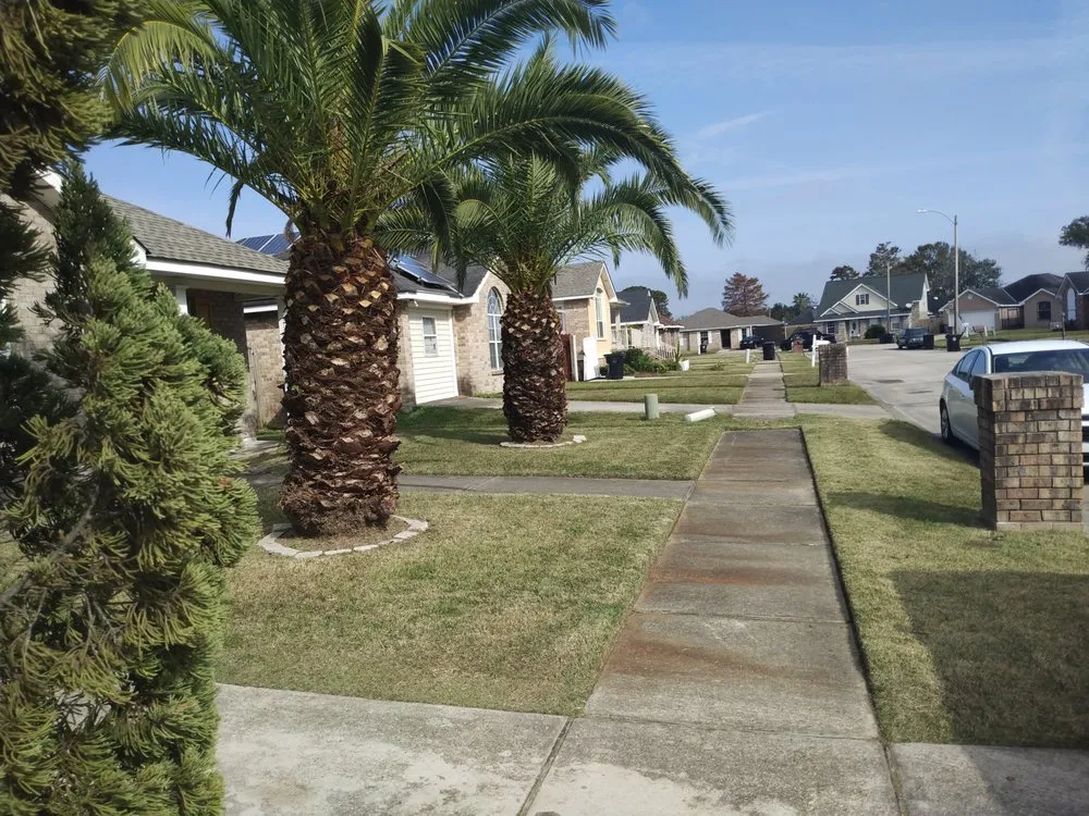 Top-rated lawn mowing service in Metairie, LA by Honey Bear Tree Service And Lawn Care