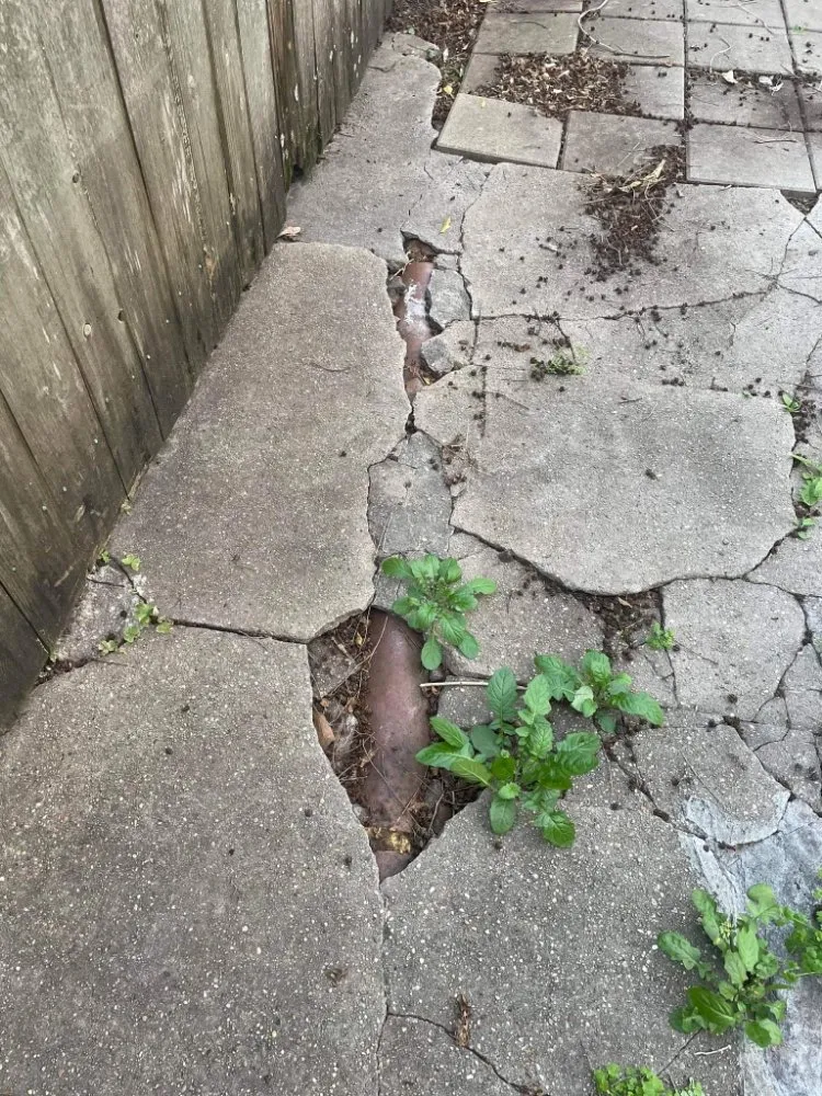 Top-rated residential landscaping for outdoor upgrades in Metairie, LA by Honey Bear Tree Service And Lawn Care