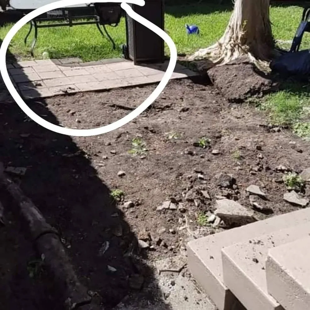 Top-rated yard cleanup service for homes across Metairie, LA - Honey Bear Tree Service And Lawn Care