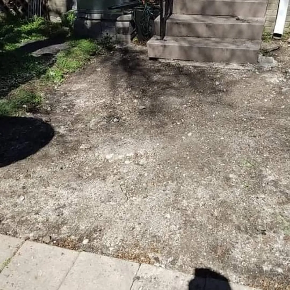 Top-rated landscape design in Metairie, LA by Honey Bear Tree Service And Lawn Care