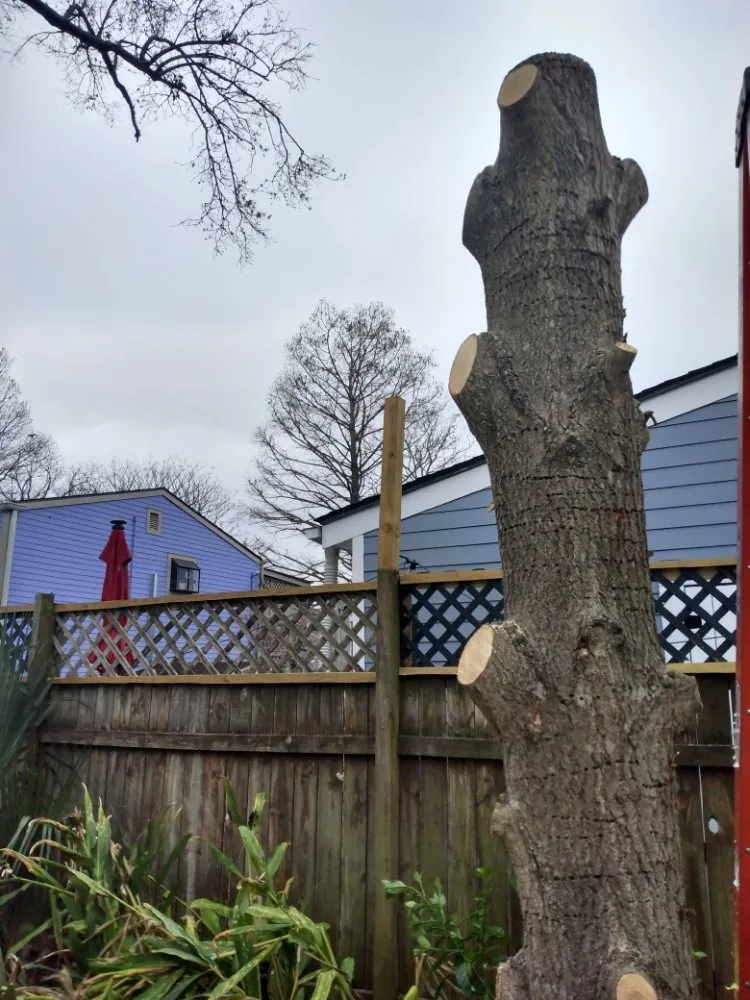 Professional residential landscaping with custom design across Metairie, LA - Honey Bear Tree Service And Lawn Care